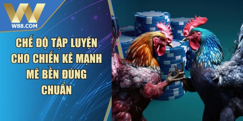 Chế Độ Tập Luyện Cho Chiến Kê